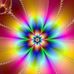 Gail Dow - Facebook