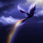 Gail Dowell - @gail.dowell.52 - Instagram