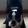 abbygaildowning - @art_vibes9938 - TikTok