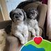 Gail Downing - Facebook