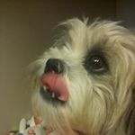 Gail Downs - @gail.downs.900 - Instagram