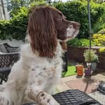 Gail Downs - @gaildowns79 - Instagram