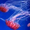 Gail Driver181 - @user286851738761 - TikTok
