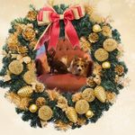 Gail Drouillard - @maddogtheartest16 - Instagram