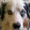 Gail Drumheller - @gaildrumheller33 - TikTok