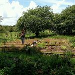 Gail Drury - @gardensalot - Instagram