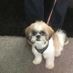 Gail Drury - @gaildrury1964 - Instagram
