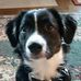 Gail Drury - Facebook