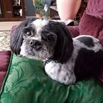 Gail Dube-Schmidt - @marilyngdube - Instagram