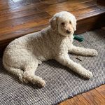 Gail Duffy - @duffy72 - Instagram