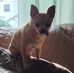 Gail Duffy - Facebook