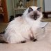 Gail Dunham - Facebook