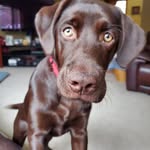 Gale Dunham - @gale.dunham1 - Instagram