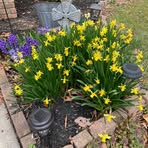 Gail Durham - Facebook