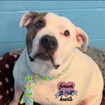 Gail Durham - Facebook