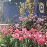 Gail Durham - @gaildurham8 - Instagram