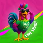 Festival do Galo Duro #VemViver! - @festivaldogaloduroma - Instagram