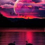 Gail Dutton - @gail.dutton.7 - Instagram