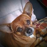 Gail Dutton - @gail.dutton.142 - Instagram
