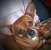 Gail Dutton - Facebook