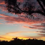 Gail Eason - @gaileason0629 - Instagram