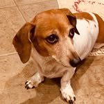 Gail Easterling - @easterling9745 - Instagram