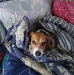MaryGail Koros - Facebook