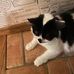 Gail Eichhorst - Facebook