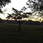 Gail Elmore - @gejc599 - Instagram