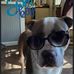 Gayle Elmore - Facebook