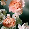 abigailembry45 - @abbigailhunter45 - TikTok