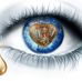 Gail McNulty Embry - Facebook