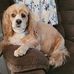 Gail Epps - Facebook
