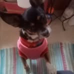 Gail Estep - Facebook