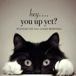 Lisa Gail Etherton - @lisagailetherton - Instagram