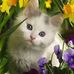 Gail Evenson - Facebook