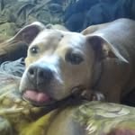 Gail Everett Rogers - @geverett71 - Instagram
