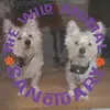 Gail Fellenz-Lancy - @gail.fellenzlancy - TikTok