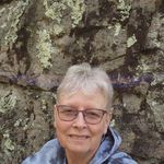 Gail Fields Burba - @fieldsburba - Instagram