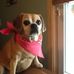 Gail Flaherty - Facebook