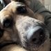 Gail Flowers - Facebook
