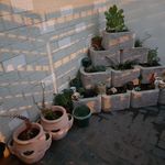 Gail Flowers - @gail.flowers.106 - Instagram