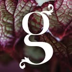 Gail Smith - @gailsmithflowers - Instagram