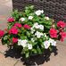 Gail C. Foss - Facebook