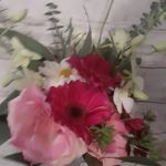 Gail Foss - @joy4u1234 - Instagram