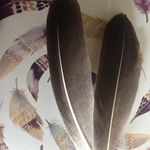 Gail Galloway - @gail.galloway.520 - Instagram