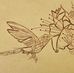 Gail Galloway - Facebook