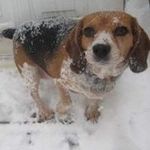 Gail Galloway - @kaylee252514 - Instagram