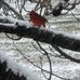 Gail Galloway Smith - Facebook