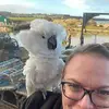 gailgalloway48 - @gailgalloway48 - TikTok